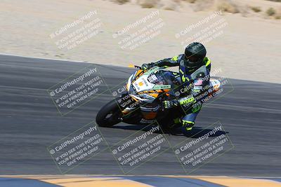 media/Jan-13-2024-SoCal Trackdays (Sat) [[9c032fe5aa]]/Turn 6 Inside (1145am)/